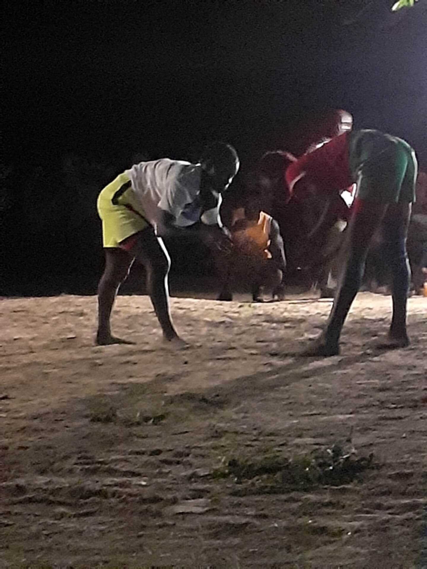 Combat de lutte sénégalaise