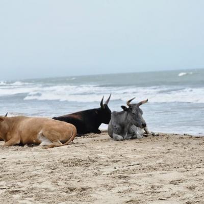 Img 20250430 wa0012