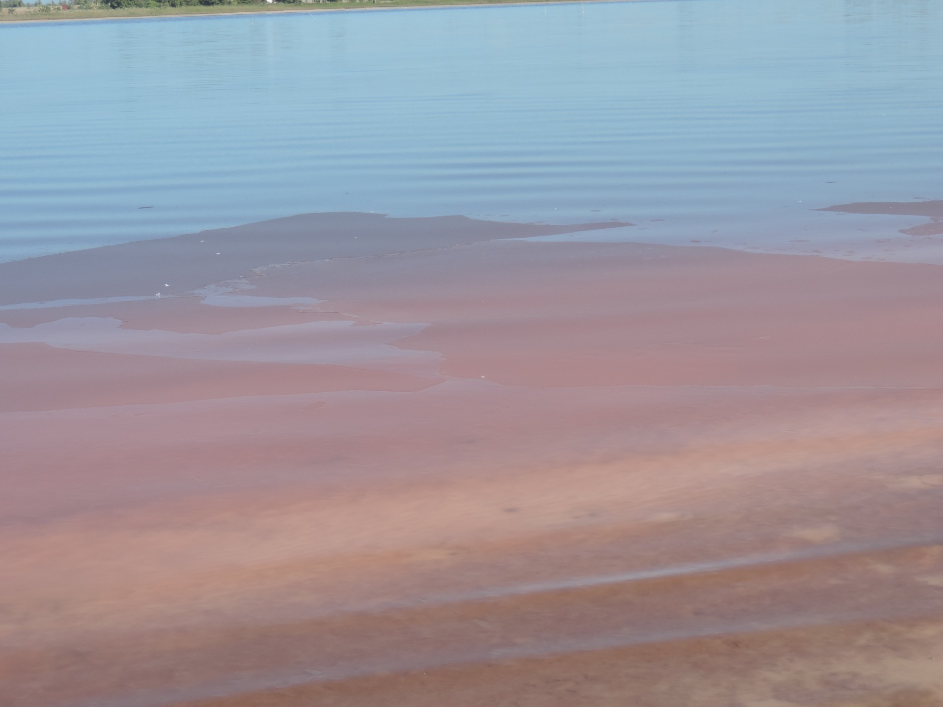 Le Lac rose