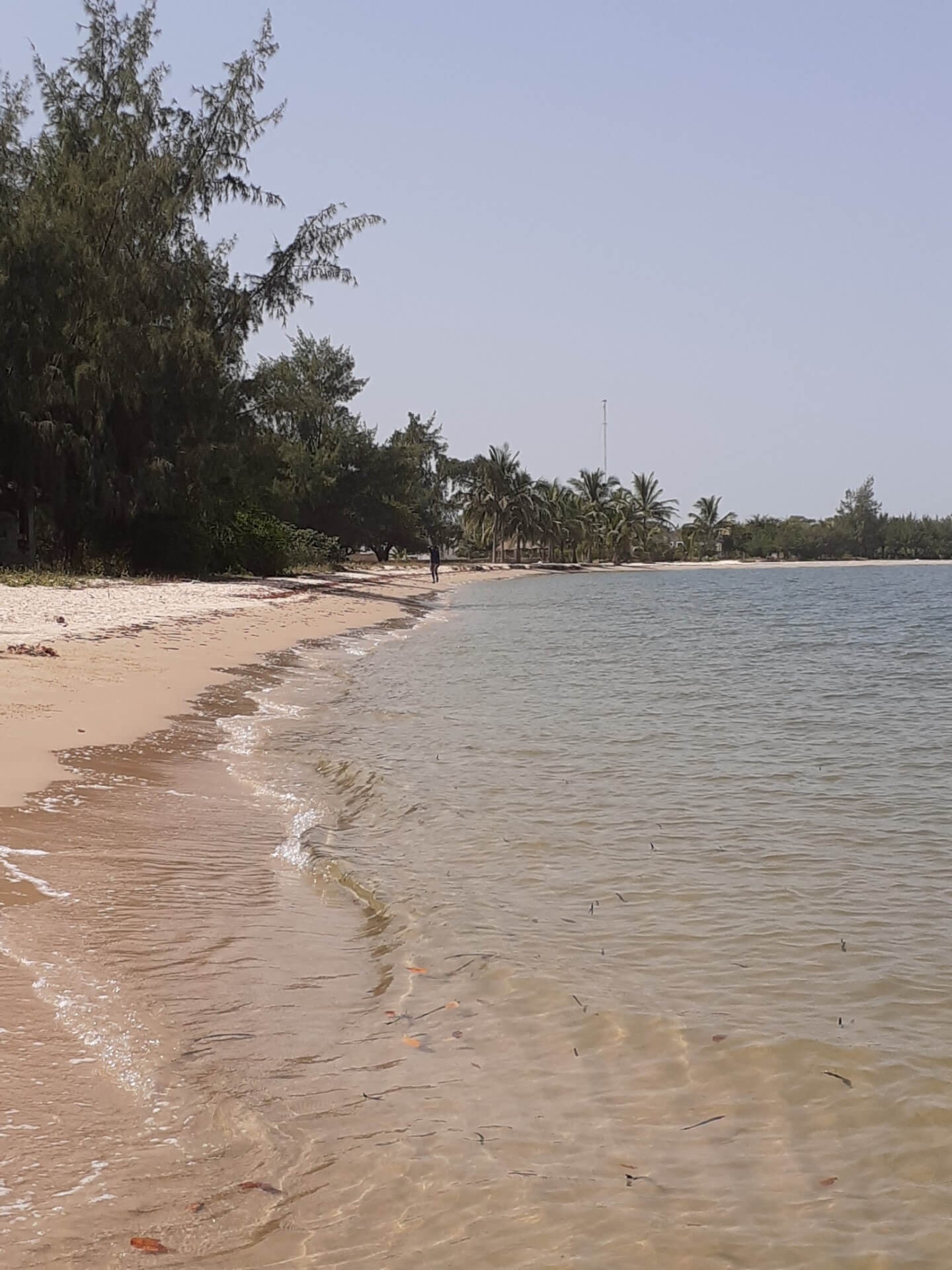 Plage de l'île de Carabane