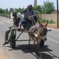 Un transport commun