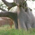 Dscn1504