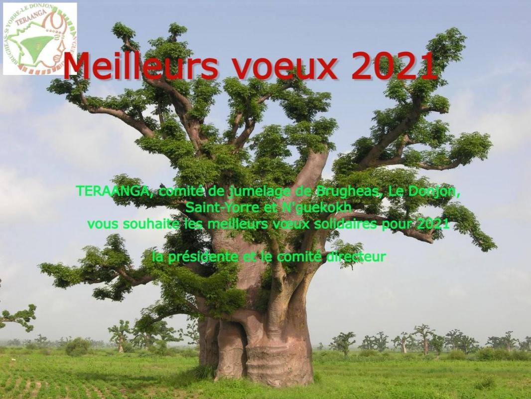 Voeux2021